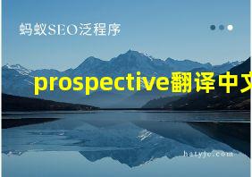 prospective翻译中文