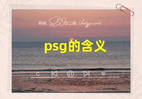 psg的含义