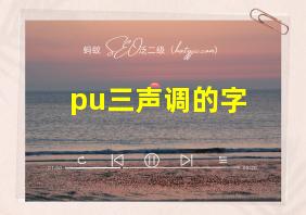 pu三声调的字