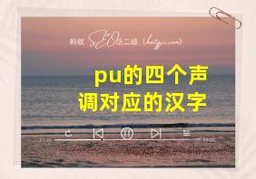 pu的四个声调对应的汉字