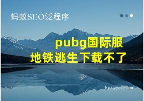 pubg国际服地铁逃生下载不了