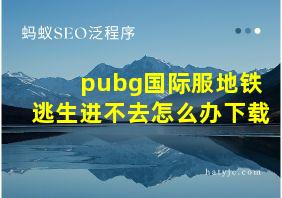 pubg国际服地铁逃生进不去怎么办下载