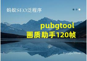 pubgtool画质助手120帧