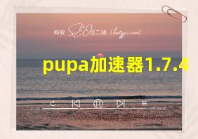 pupa加速器1.7.4