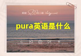 pura英语是什么