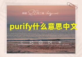 purify什么意思中文