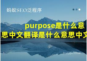 purpose是什么意思中文翻译是什么意思中文