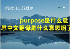 purpose是什么意思中文翻译是什么意思啊了