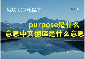 purpose是什么意思中文翻译是什么意思