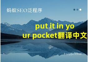 put it in your pocket翻译中文