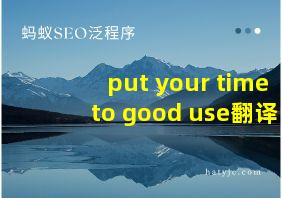 put your time to good use翻译