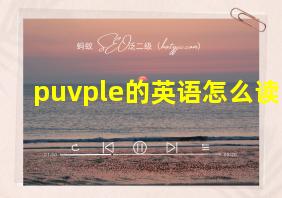 puvple的英语怎么读