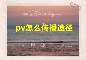 pv怎么传播途径