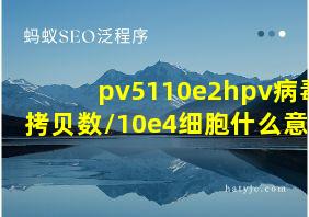 pv5110e2hpv病毒拷贝数/10e4细胞什么意思