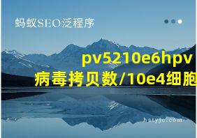 pv5210e6hpv病毒拷贝数/10e4细胞