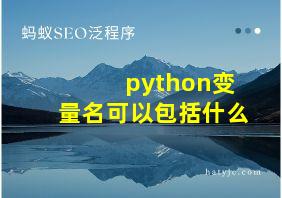 python变量名可以包括什么