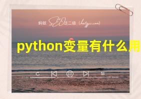 python变量有什么用