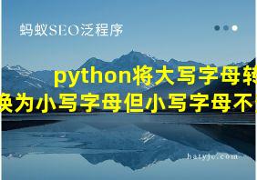 python将大写字母转换为小写字母但小写字母不变