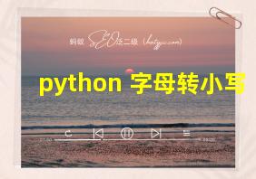 python 字母转小写