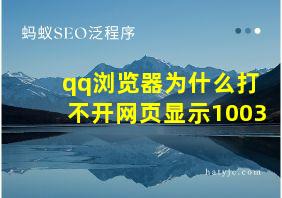 qq浏览器为什么打不开网页显示1003