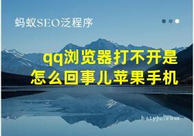 qq浏览器打不开是怎么回事儿苹果手机