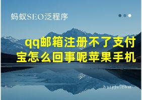 qq邮箱注册不了支付宝怎么回事呢苹果手机