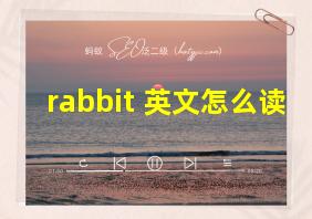 rabbit 英文怎么读