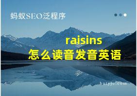 raisins怎么读音发音英语