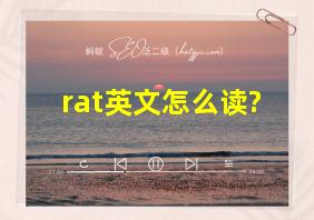 rat英文怎么读?