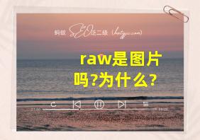 raw是图片吗?为什么?