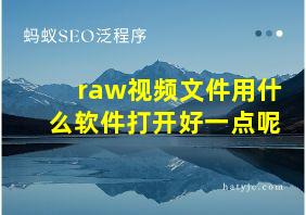 raw视频文件用什么软件打开好一点呢