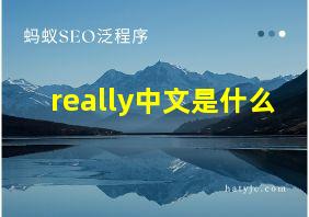 really中文是什么