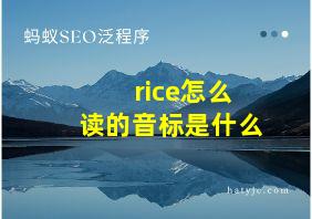 rice怎么读的音标是什么