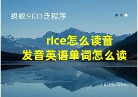 rice怎么读音发音英语单词怎么读