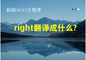 right翻译成什么?