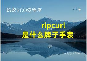 ripcurl是什么牌子手表