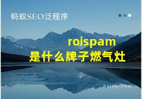 roispam是什么牌子燃气灶