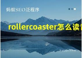 rollercoaster怎么读音