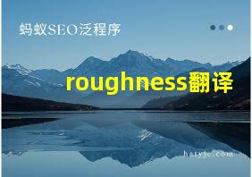 roughness翻译