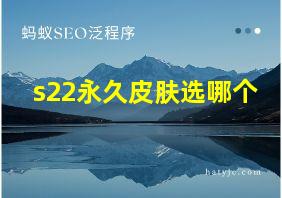 s22永久皮肤选哪个