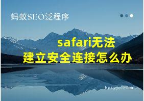 safari无法建立安全连接怎么办