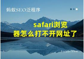 safari浏览器怎么打不开网址了