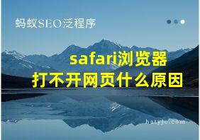 safari浏览器打不开网页什么原因