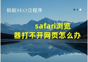 safari浏览器打不开网页怎么办