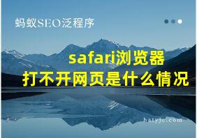 safari浏览器打不开网页是什么情况