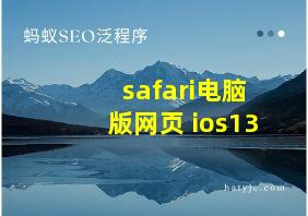 safari电脑版网页 ios13