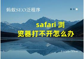 safari 浏览器打不开怎么办