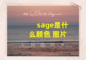 sage是什么颜色 图片