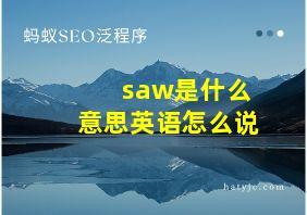 saw是什么意思英语怎么说