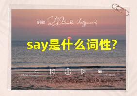 say是什么词性?